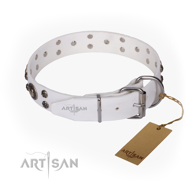 Everyday use full grain natural leather collar with adornments for your canine