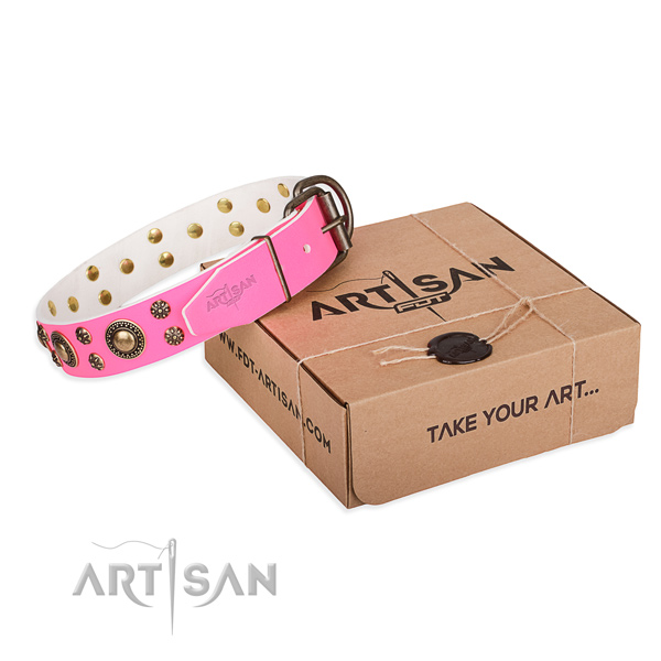 Leather dog collar with adornments for everyday walking