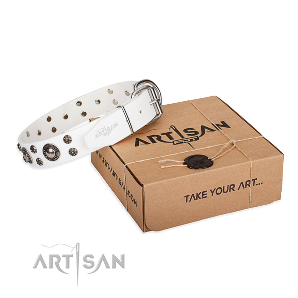Stylish design full grain genuine leather dog collar for daily use
