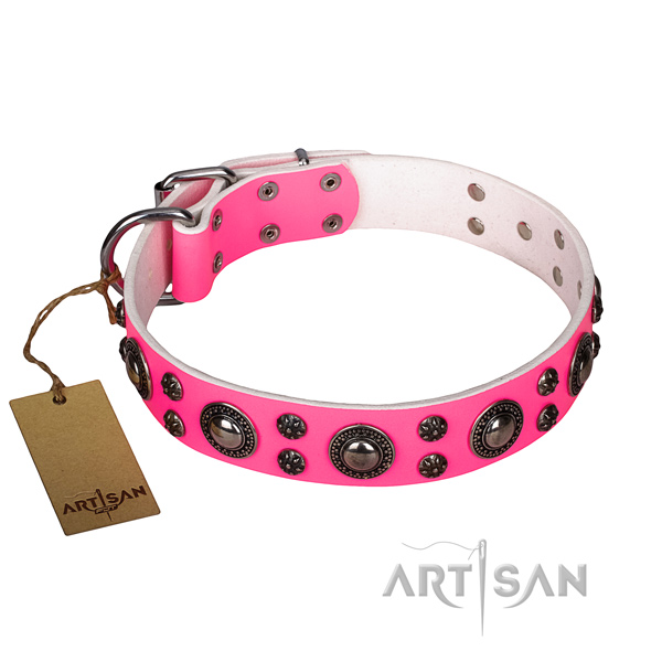 Awesome full grain leather dog collar for daily walking