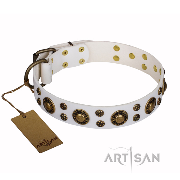 Unusual full grain leather dog collar for stylish walking