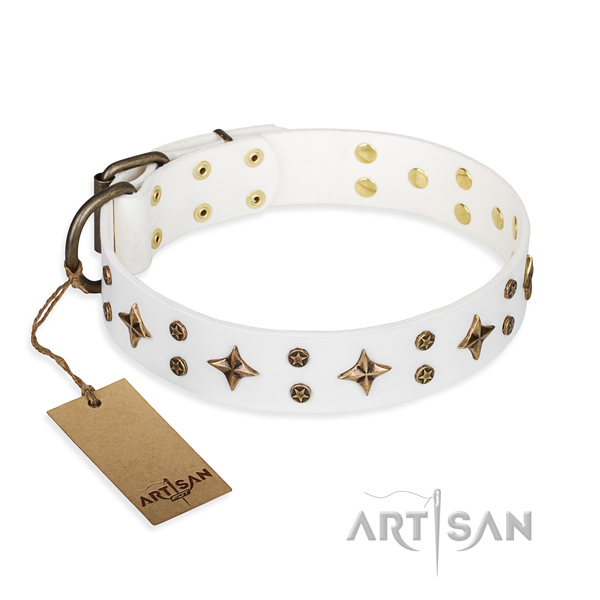 Exquisite full grain genuine leather dog collar for daily use