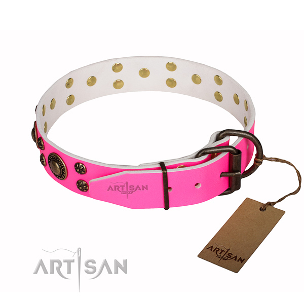 Exceptional natural genuine leather dog collar for everyday use