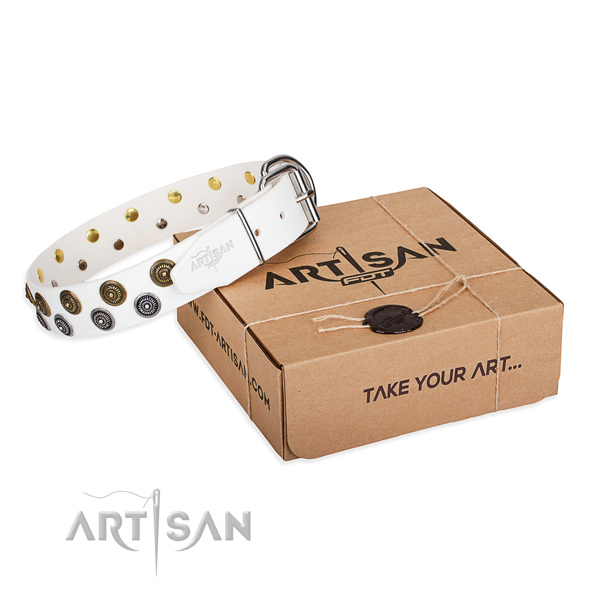 Full grain genuine leather dog collar with adornments for stylish walking