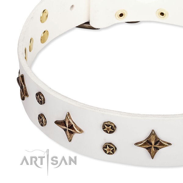 Full grain natural leather dog collar with awesome adornments