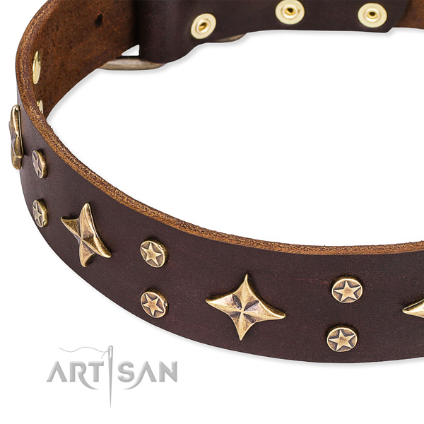 Full grain genuine leather dog collar with top notch decorations