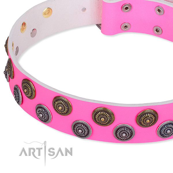 Full grain leather dog collar with fashionable adornments