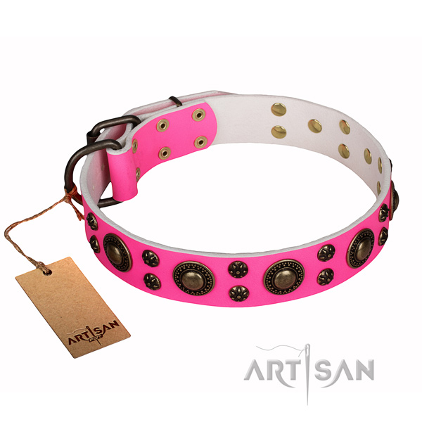 Everyday walking leather collar with studs for your dog