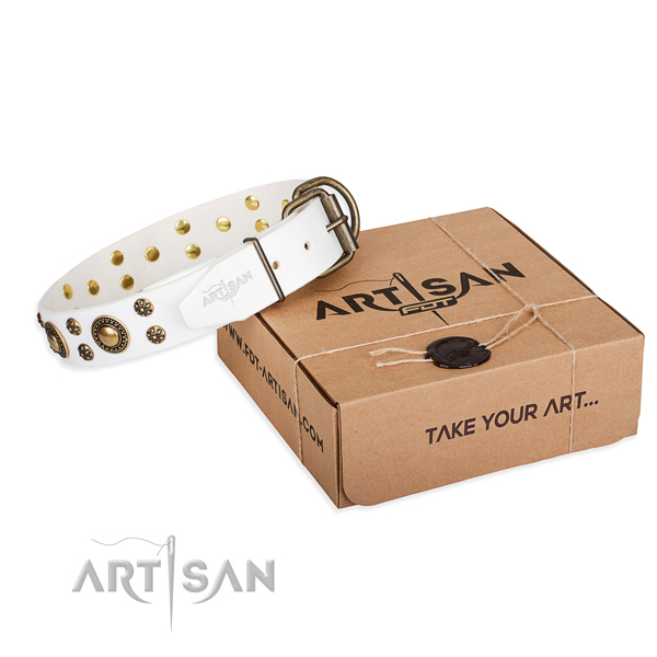 Full grain genuine leather dog collar with adornments for everyday walking
