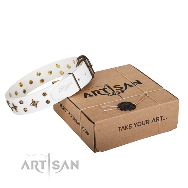 Embellished leather dog collar for daily walking