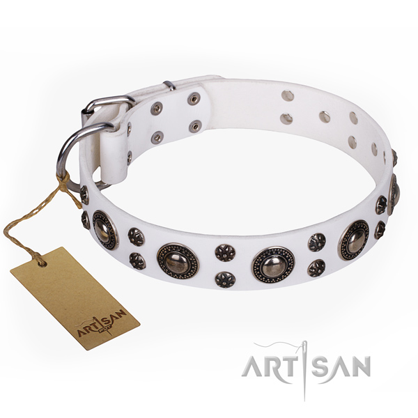 Impressive leather dog collar for daily use