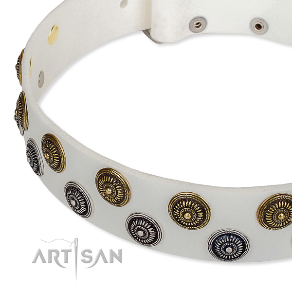 Genuine leather dog collar with extraordinary embellishments