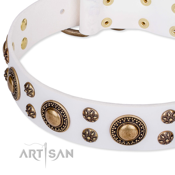 Natural genuine leather dog collar with impressive embellishments