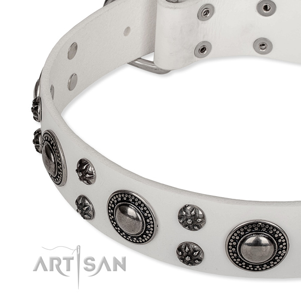 Everyday use natural genuine leather collar with reliable buckle and D-ring