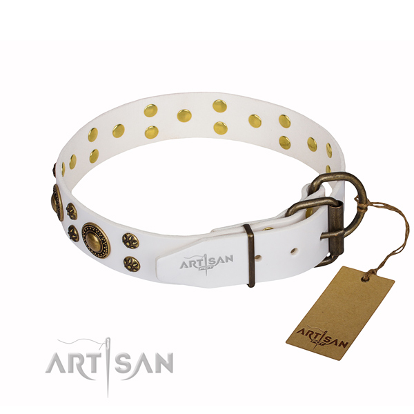 Stylish walking full grain genuine leather collar with adornments for your doggie