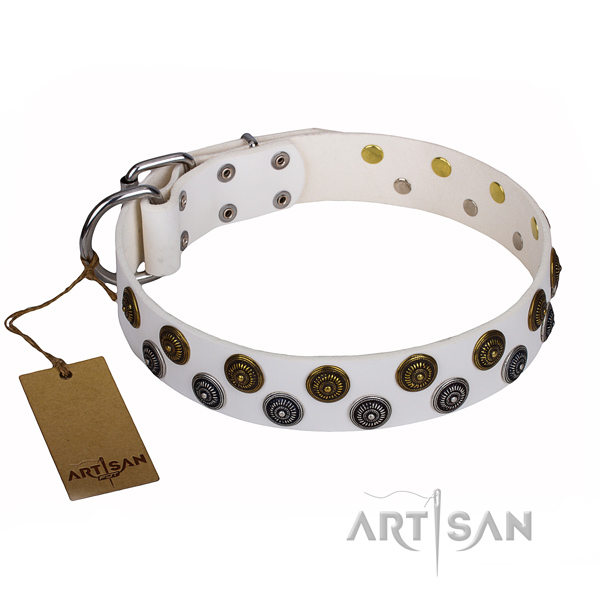 Stunning genuine leather dog collar for stylish walking