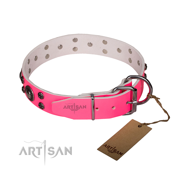 Everyday walking full grain genuine leather collar with reliable buckle and D-ring