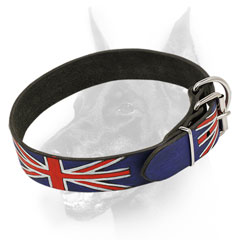 Doberman Dog Collar for Walking in style