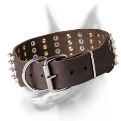 Wide Doberman Collar with Extra durable rustproof buckle