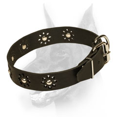 Doberman Dog Collar with Nickel plated hardware