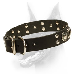   Doberman Collar of neat design