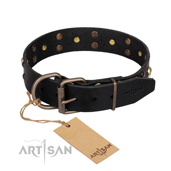Day-to-day leather dog collar with unique design adornments