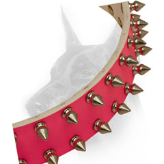   Genuine Leather Doberman Breed Collar with Nickel-plated spikes