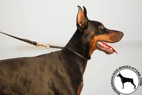 Effective obedience training collar for Doberman