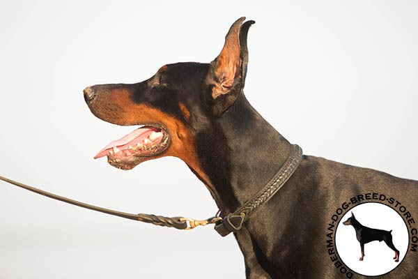 Doberman collar with riveted braid