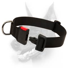 Practical nylon dog collar