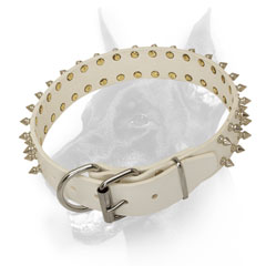   Perfect fit Doberman Dog Collar with Nickel plated spikes