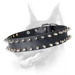 Leather Doberman collar black spiked