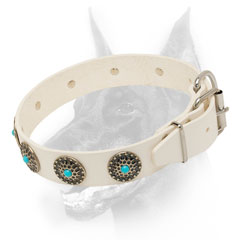 White leather dog collar for Doberman walking