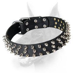 Leather Doberman collar with symmetrical spikes