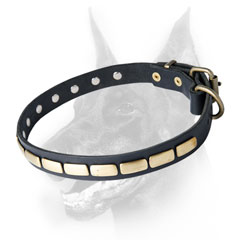 Decorated leather Doberman collar with plates