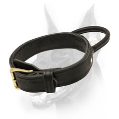 Wonderful training leather dog collar