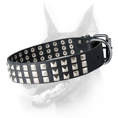 Demandable leather Doberman collar studded with pyramids