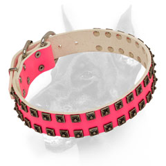 Leather pink dog collar with nickel pyramids