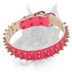 Leather pink Doberman collar triple spiked