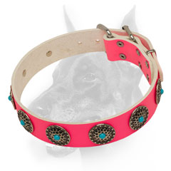 Leather Doberman collar pink with proportional silvery conchos