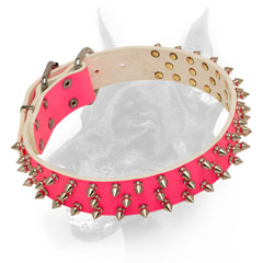 Decorated pink nickel spiked leather dog collar for  lady-Doberman