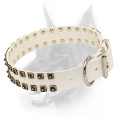 Solid steel nickel plated D-ring and buckle