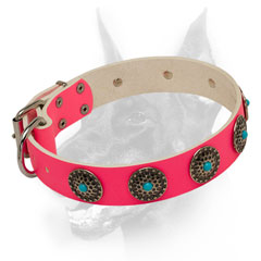 Fashionable pink leather Doberman collar for walking in beauty