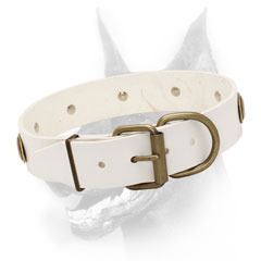 Leather Doberman collar white easy adjustable with buckle