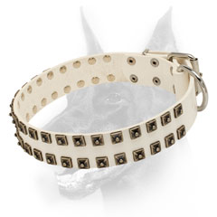 White leather Doberman collar with studs