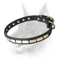Special Leather Dog Collar With Brass Gold-Like Plates