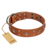 "Dreamy Gleam" FDT Artisan Tan Leather Doberman Collar Adorned with Stars and Squares