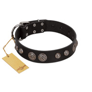 "Tricky Ricky" FDT Artisan Black Leather Doberman Collar Adorned with Silver-Like Conchos