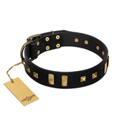 "Fit for Royalty" FDT Artisan Black Leather Doberman Collar with Plates and Small Square Studs