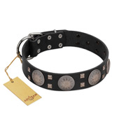 "Sun in Shining" Modern FDT Artisan Black Leather Doberman Collar with Studs and Stars